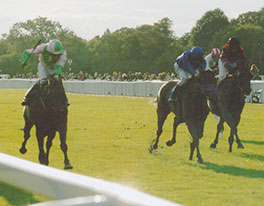 2010 Distance memories - Winter Hill stakes Group 3 at Windsor