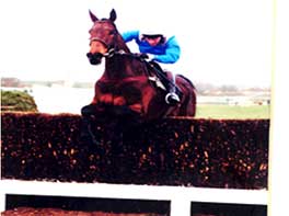 Ask Tom Maghull Novice chase 1996
