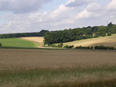 Fields around Castle Farm