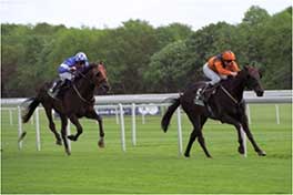 2005 Welsh Emperor Spring Trophy Stakes - Listed