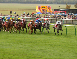 Prince of Johanna wins the Cambridgeshire at Newmarket 2011