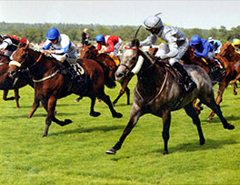 2012 Prince of Johanne – The Royal Hunt Cup Heritage H’cap at Royal Ascot