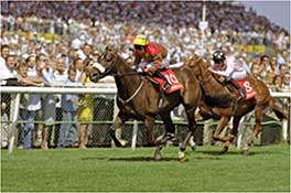 2005 - Another Bottle - Ladbroke Heritage Handicap at Newbury