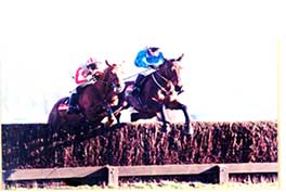 1998 Ask Tom - Game Spirit Chase at Newbury - Grade 1