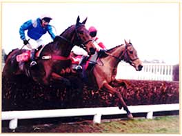 1997-  Ask Tom - Victor Chandler Chase at Kempton - Grade 2