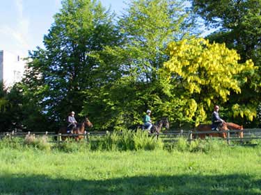 Riding in the nearby grounds