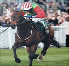 2008 - Honest John - The John Smiths Champion National Hunt Flat Race at Aintree Grade 2 