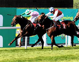 2011 Kings Gambit – Gordon Richards Stakes Group 3 at Sandown Park