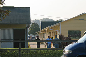 Castle Farm stables