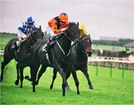 2005 - Welsh Emperor -  Bentinck Group 3 at Newmarket